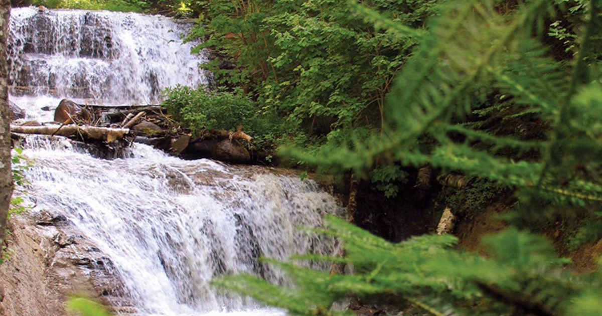 Top Waterfalls In Blue Ridge Ga Fannin County