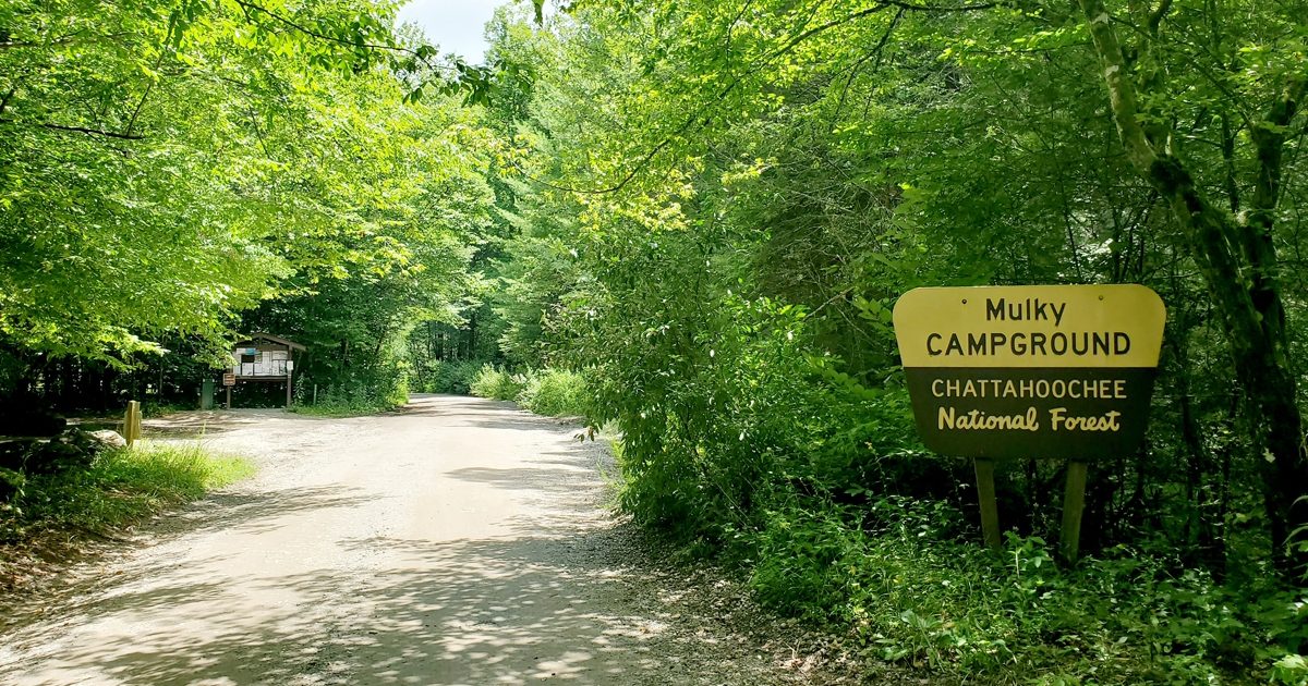 Escape To The Enchanting Georgia Wilderness: Your Guide To Mulky Campground