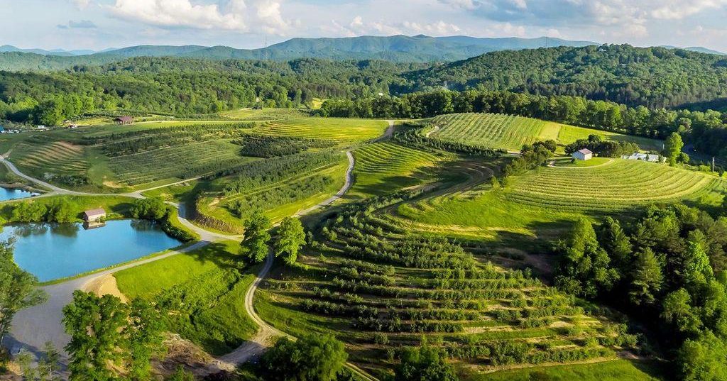 Mercier Orchards UPick Apples & Events Blue Ridge, GA