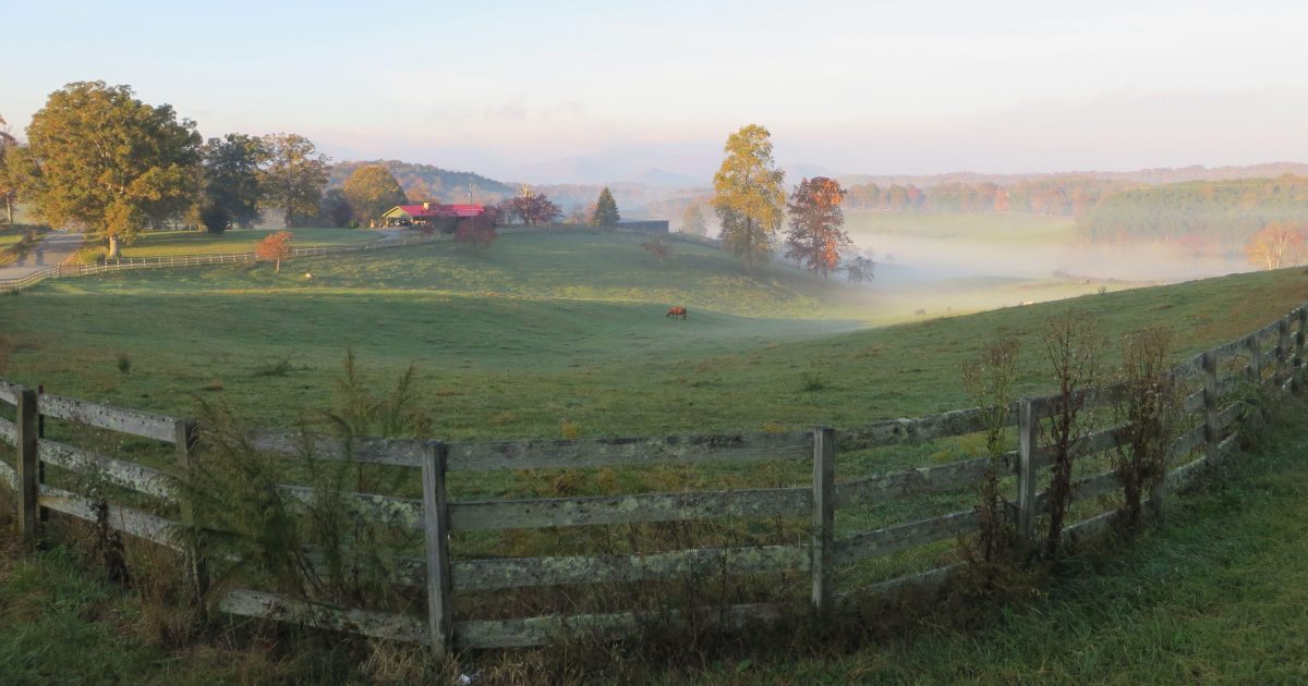 Top Scenic Drives In North Georgia & Near Blue Ridge | Blue Ridge, GA