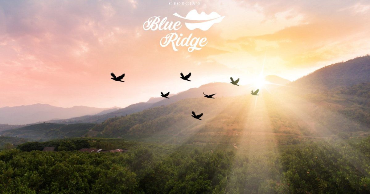 Birds of the Blue Ridge: Blue Jay - Blue Ridge Country