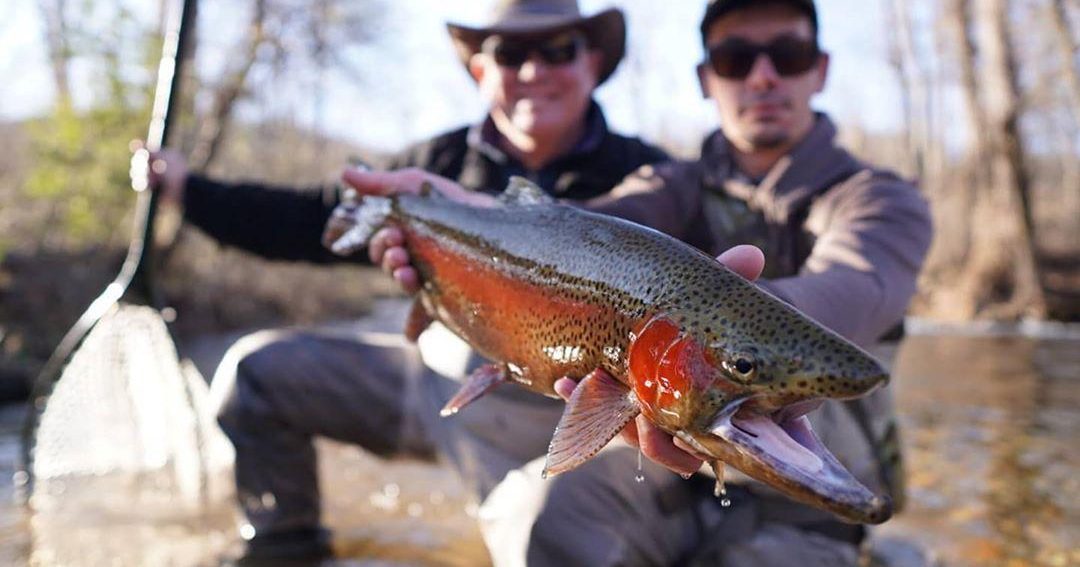 Catch trout in Fayetteville while attending fly-fishing clinics