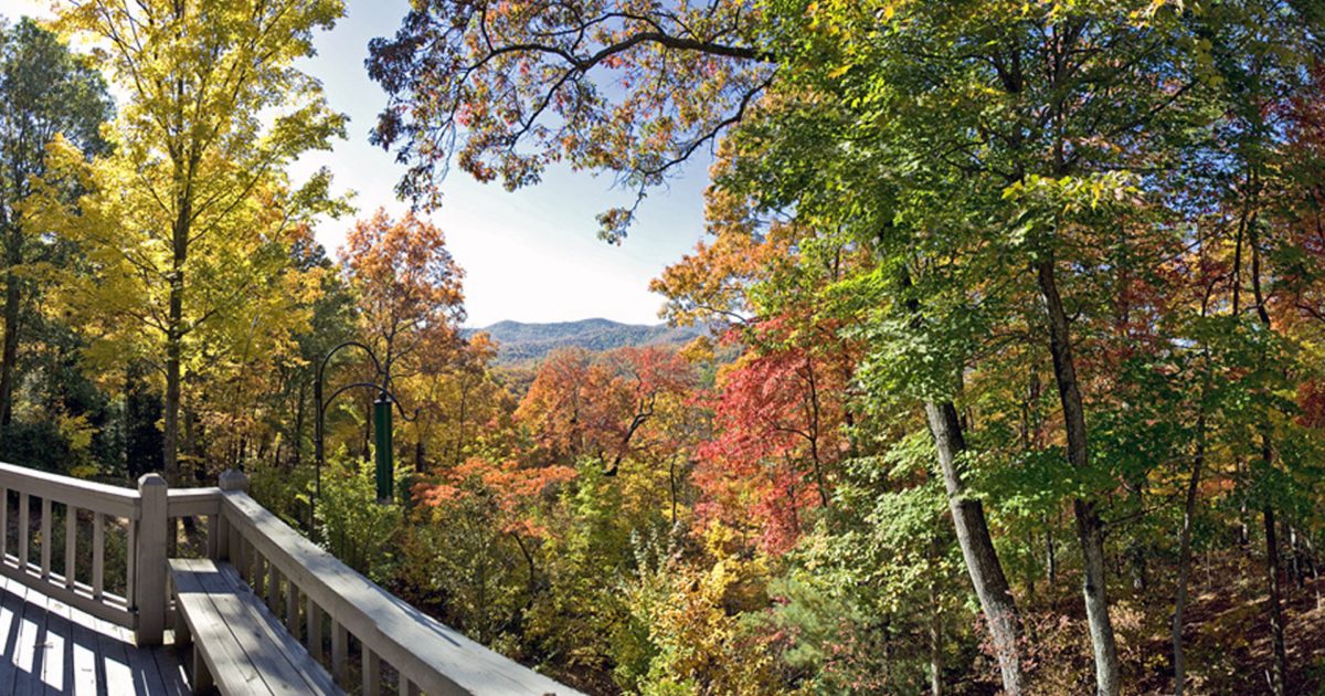 Blue Ridge, GA Fall Foliage Blue Ridge, GA