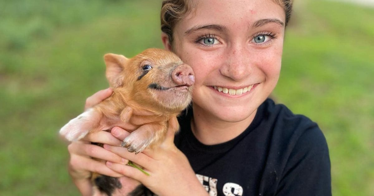 Amburn Mountain Farm - Copperhill, Tennessee | Blue Ridge, GA